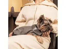 Жилет для тварин Pet Fashion Harry XS2 (4823082430109) - мініатюра 4