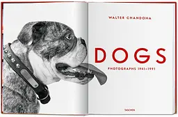 Chandoha. Dogs. Photographs 1941–1991 - мініатюра 2