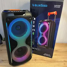 Колонка Bluetooth Wireless Speaker TTD-2821 40 Вт 3600 mAh 31.6х32.3х68.6cм