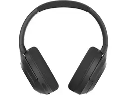 Навушники з мікрофоном A4Tech Fstyler BH220 (Black) - мініатюра 2