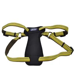 Шлея з нагрудником Coastal K9 Explorer Harness 20.4-45.3 кг для собак світловідбиваюча (36946_GLR38)