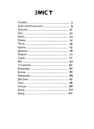 Ключі. Новели - Ольга Криштопа - мініатюра 2