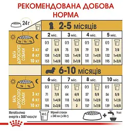 Сухий корм для цуценят породи Такса Royal Canin Dachshund Puppy, 1,5 кг (24370151) - мініатюра 7