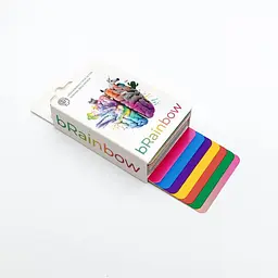 Гра настільна Fun Games bRainbow (SR-113-N-781) - мініатюра 5