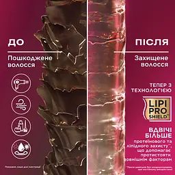 Кондиціонер для волосся OGX Keratin Oil проти ламкості 385 мл - мініатюра 3