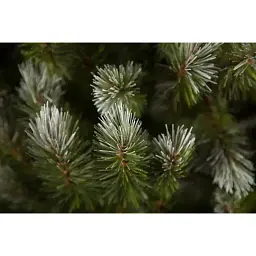 Сосна штучна Triumph Tree Forest Pittsburgh зелена з ефектом покриття інеєм та шишками 2.15 м - мініатюра 2