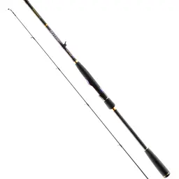 Спінінг Favorite Skyline NEW SKYA-842H 2.54 м 20-60 г Ex.Fast