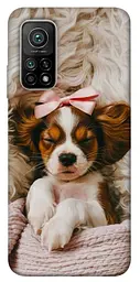 TPU чохол Demsky Sleepy spaniel для Xiaomi Mi 10T