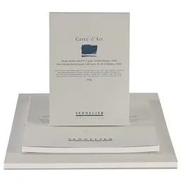 Альбом-склейка мультитехніка Sennelier Carte d'art, 15 аркушів, 340 г/м, 29,7x42 см - мініатюра 2