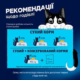 Сухий корм Felix Doubly Delicious для дорослих котів з лососем, океанічною рибою та буряком 10 кг - мініатюра 10