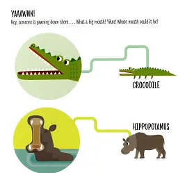 My First Book of Wild Animals. Montessori: A World of Achievements - мініатюра 8