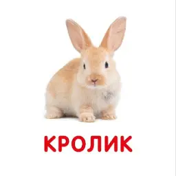 Свійські тварини. Перша книжка малюка - мініатюра 3