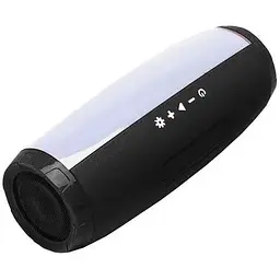 Портативна колонка XPRO TG-165 10Вт USB AUX FM Bluetooth чорна (TG165) - мініатюра 3