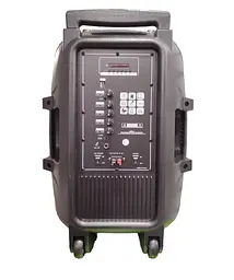 Професійна Bluetooth колонка NDR-A55 15-дюймова з бездротовим мікрофоном - мініатюра 6