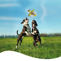М'яка іграшка для собак Bird Shaped Squeaky Dog Plush Toy з мотузками і пищалкою, коричнева - мініатюра 3
