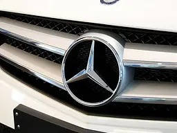 Емблема решітки Mercedes-Benz GLC, GLE, GLS class хром 205 мм пластик OEM A0008880160 - мініатюра 3