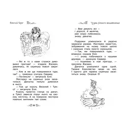 Книга Таємне Королівство. Сяючий берег. Книга 6 - Роузі Бенкс Видавництво РМ (9786178280130) - мініатюра 6