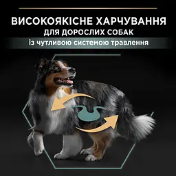 Сухий корм Purina Pro Plan Medium Adult 1+ Sensitive Digestion для дорослих собак середніх порід з чутливим травленням з ягням 3 кг - мініатюра 6