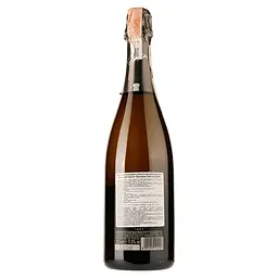 Вино ігристе Bortolotti Valdobbiadene Prosecco Superiore Extra Dry, біле, брют, 11,5%, 0,75 л - мініатюра 2