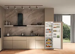 Холодильник Whirlpool WHSD18A013C1 (7168642) - мініатюра 6