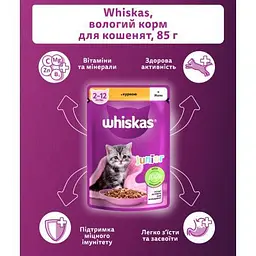Вологий корм для кішок Whiskas Kitten Курка в желе 85 г (5900951302152) - мініатюра 4