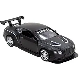 Автомодель TechnoDrive Bentley Continental GT3 матова чорна (250259) - мініатюра 2