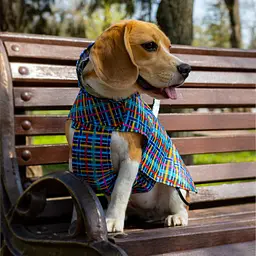 Дощовик для собак з капюшоном Barksi Textile розмір М Клітинка - мініатюра 5
