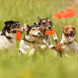 Іграшка-кільце для собак Derby Rubber Dog Chew Toy Ring - мініатюра 7