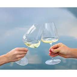 Келих для білого вина Riedel Winewings Sauvignon Blanc 742 мл (1234/33) - мініатюра 7