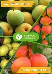 Мiнеральне добриво Agro-x Супер Плiд ХХI поколiння Прозора банка - прозора якiсть 120 г (61822) - мініатюра 2