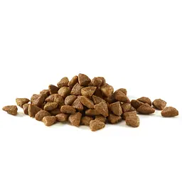 Сухий корм Purina One Sterilcat комплекс Bifensis з яловичиною для дорослих стерилізованих котів 1.4 кг - мініатюра 5