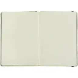 Книга записна Buromax Etalon 125x195 мм 96 листів без лінівки обкладинка зі штучної шкіри М'ятна (BM.291060-38) - мініатюра 4