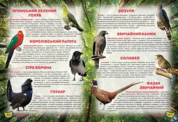 Книга Кристал Бук Ілюстрований атлас живої природи (F00014008) - мініатюра 2