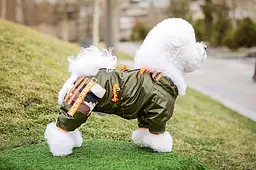 Комбінезон Smart Pet Olive