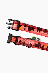 Нашийник ТМ HIDOG Arizona, розмір M (ширина 20мм (30-40 cм)) (2100102247018A)(SN) shop (2100102247018)