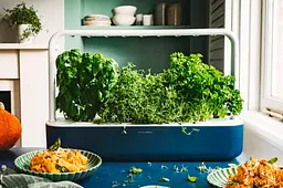 Стартовий набір Click & Grow Smart Garden 9 синiй (SG9S12UNI) - мініатюра 3
