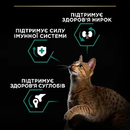 Сухий корм Purina Pro Plan Adult 1+ Renal Plus для дорослих котів з куркою 14 кг - мініатюра 6