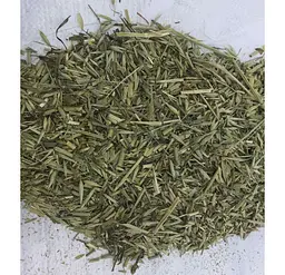 Овес Трава Avena sativa