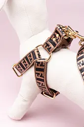 Комплект амуніції для собак шлейка + повідець 1.5м в стилі Fendi М