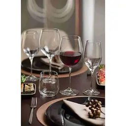  Келих для вина RCR Invino 380 мл (26196020406) - мініатюра 3