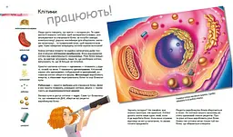 Книга Ранок Дивовижний світ клітин - Патрік А. Боерле (С1354002У) - мініатюра 4