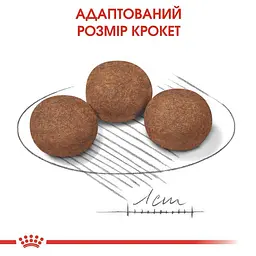 Сухий корм для цуценят собак середніх порід Royal Canin Medium Puppy, з м'ясом птиці, 1 кг (30030101) - мініатюра 3