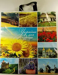 Пакет із петлевою ручкою розмір 42*47 щільність 60 мкр "Україна моя країна" 25шт./уп.