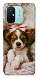 TPU чохол Demsky Sleepy spaniel для Xiaomi Redmi 12C