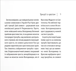Україна. Пам’ять боротьби. Збірка статей - Андрій Бережина - мініатюра 7