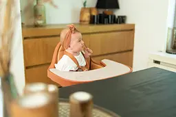 Стілець для годування Childhome Evolu 2 з бампером, коричневий (CHEVOCHRU) - мініатюра 24