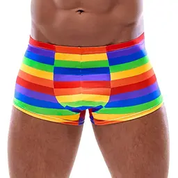 Чоловічі труси Svenjoyment Rainbow M (мульті)