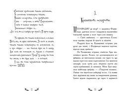 Відьми Шик-Пшика: Ляльковий переполох. Книга 2 - Шибель Паундер - мініатюра 3