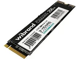 SSD-накопичувач Wibrand Caiman M.2 NVMe 256 GB (WIM.2SSD/CA256GB)