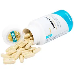 Готу кола All be Ukraine Gotu kola центела азійська 60 капсул (ABU-02034) - мініатюра 5